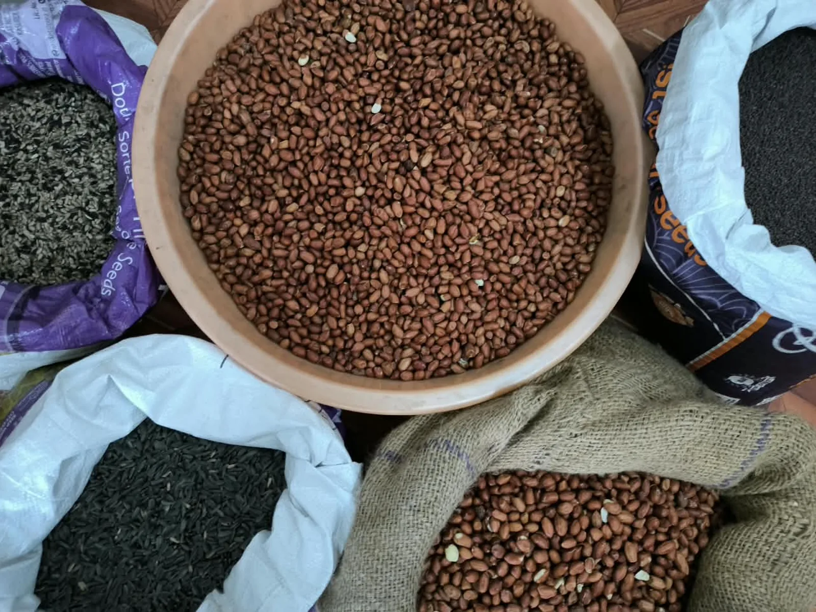 Seed stock at the unit